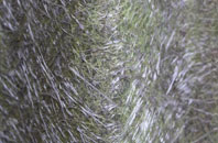 Upper Colwall fibreglass roof work